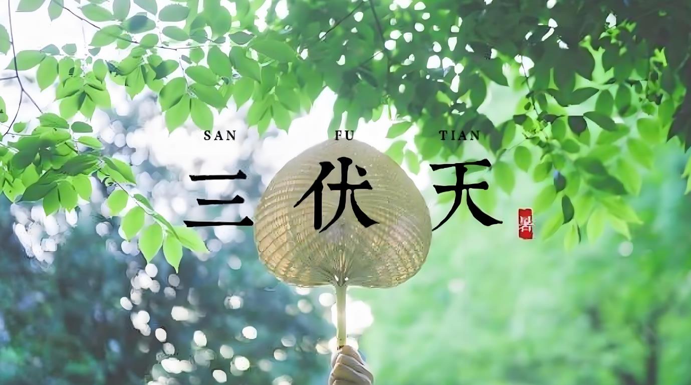 三伏天从什么时候算起